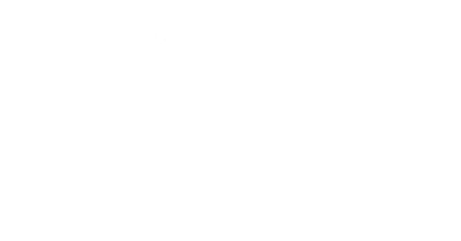 American Premier Insurance Agency homepage